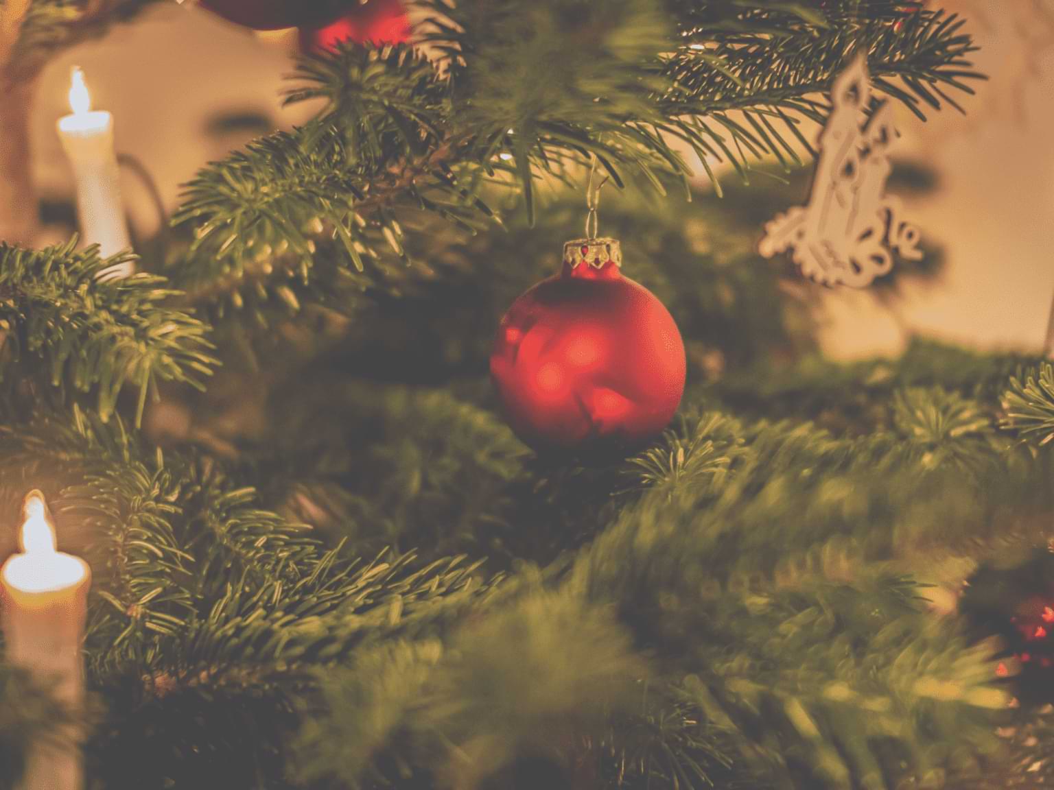 Abbildung eines Weihnachtsbaumes